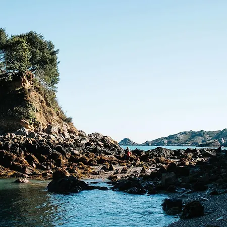 Undercliff Πανσιόν Trinity