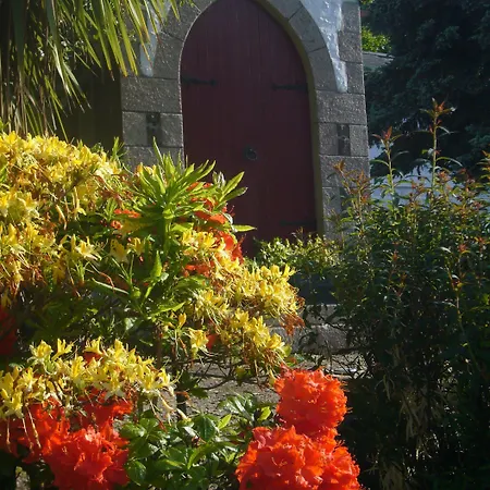 בית הארחה Undercliff Trinity