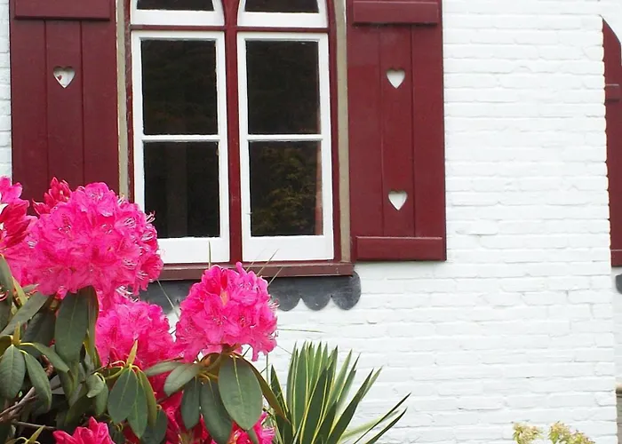 Maison d'hôtes Undercliff Trinity